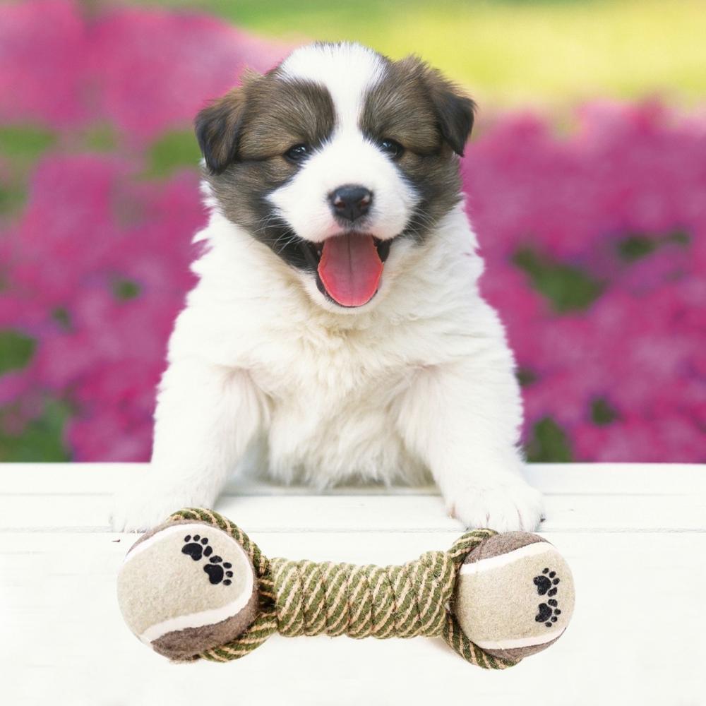 Pet Dog Toys For Large Small Dogs